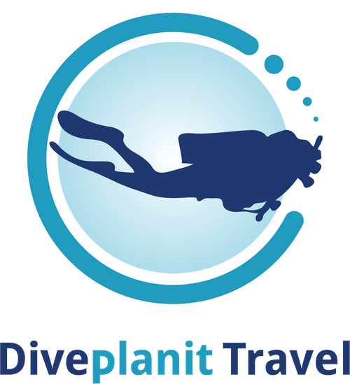Diveplanit Travel
