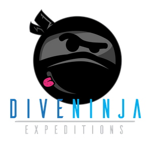 Dive Ninja Expeditions