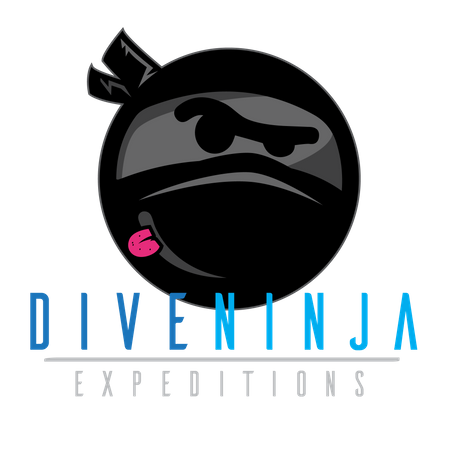 Dive Ninja Expeditions