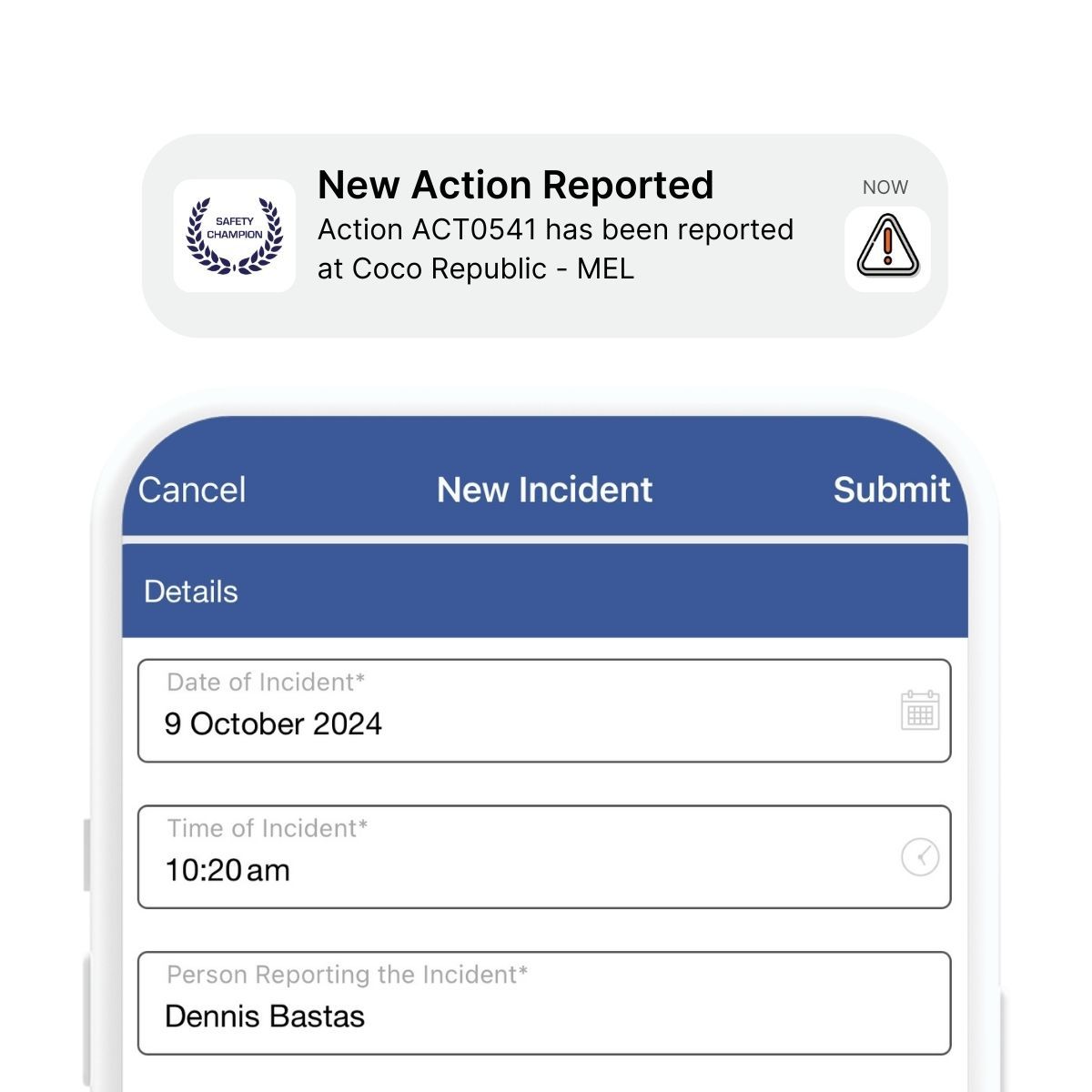 safety champion