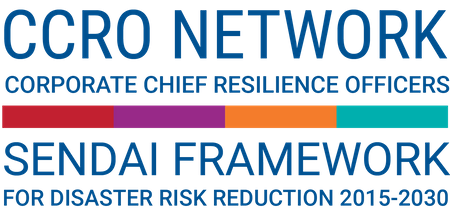 Corporate Chief Resilience Officers (CCRO) Network