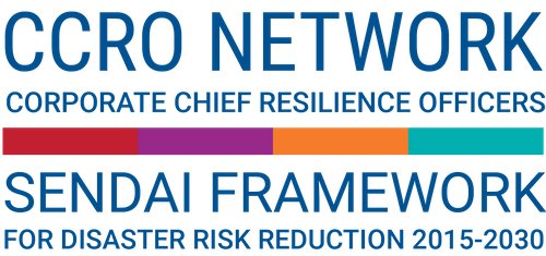 Corporate Chief Resilience Officers (CCRO) Network