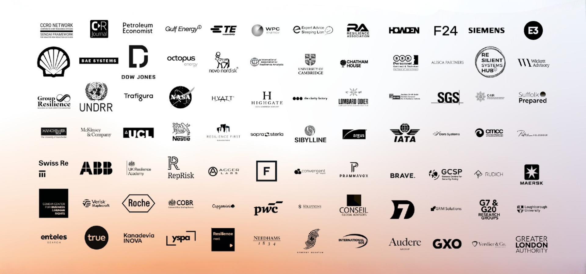 RWN Logos