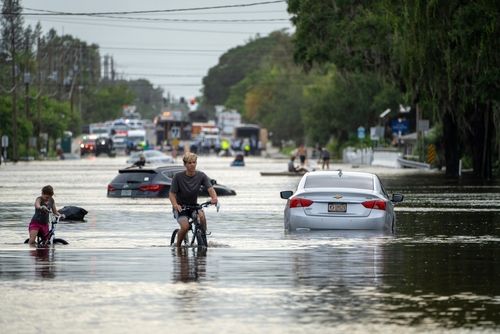 We Keep Us Safe: The Puerto Rico Model for Proactive Community Survival Networks