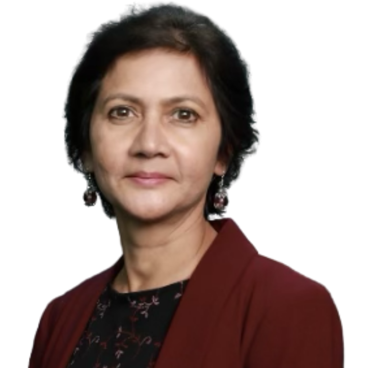 Speaker image for Narmada Guruswamy