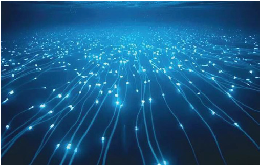 ARISE Network  Development