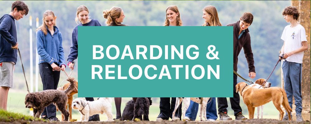 Boarding & Relocation