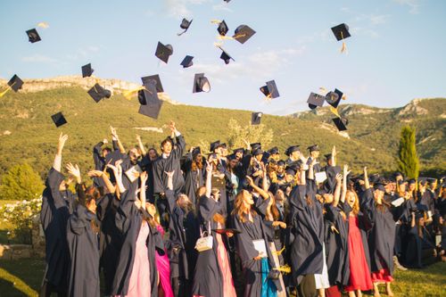 Outstanding Results: 96% Success in the 2025 IB Diploma