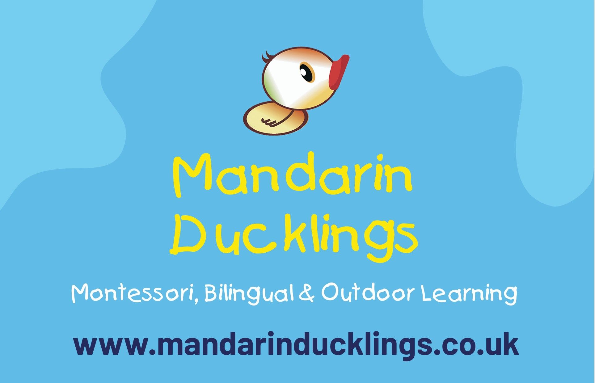 Mandarin Ducklings