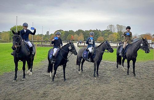 SGS Equestrian Team