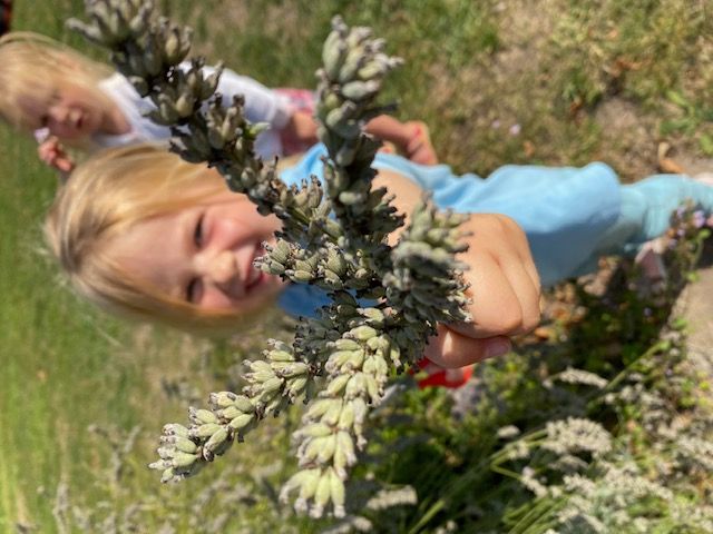 Why Forest School is the Missing Link in Mainstream Education