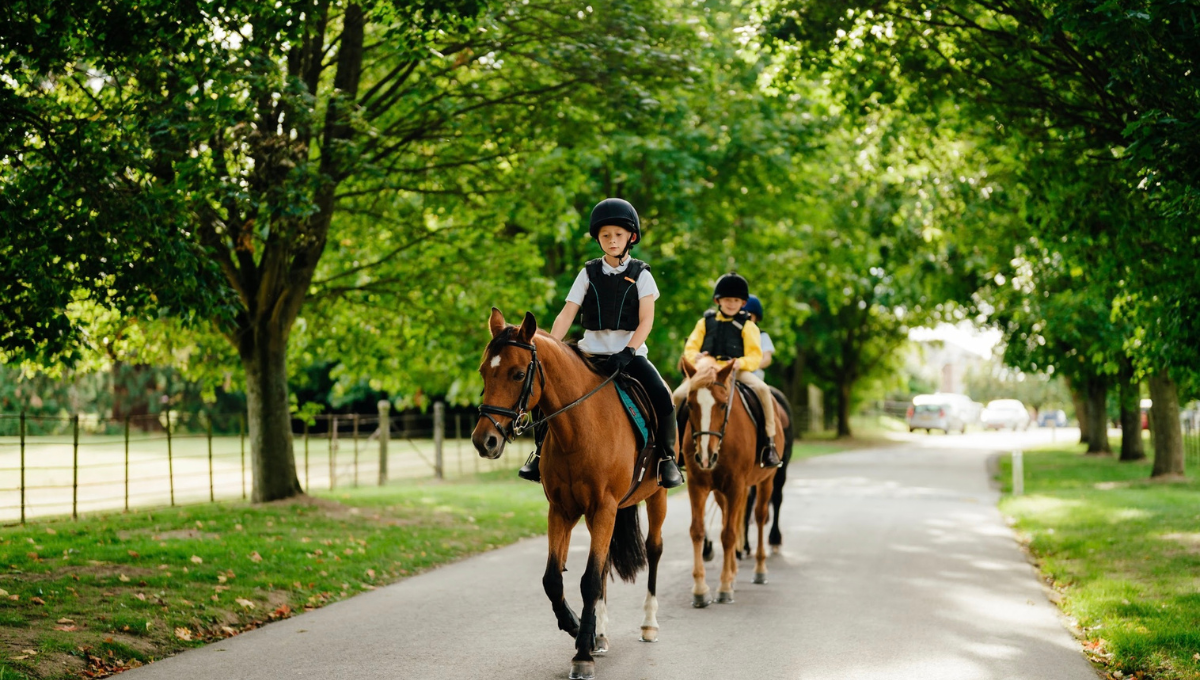 Relocation, Relocation...