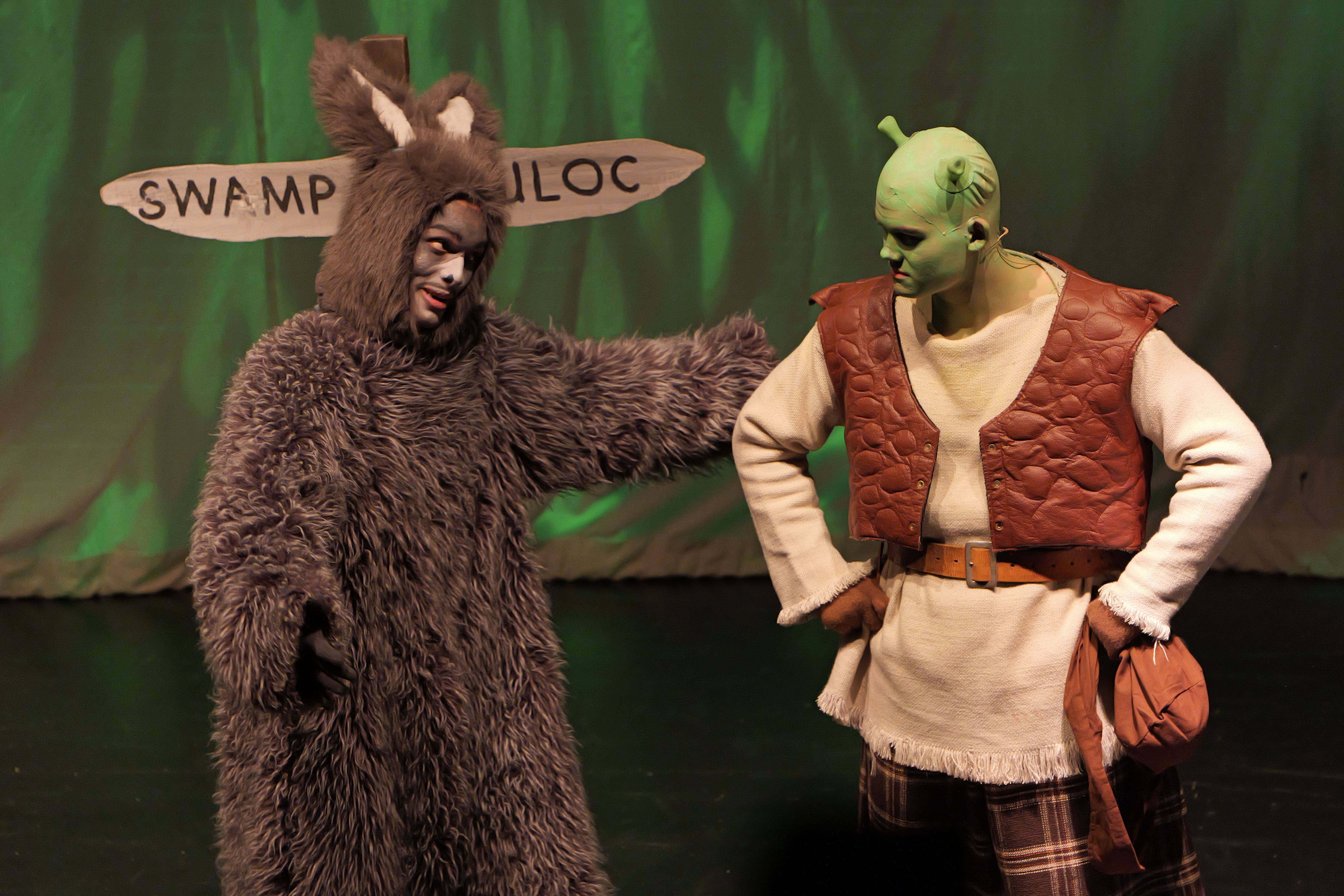 The Welsh independent school where students take centre stage