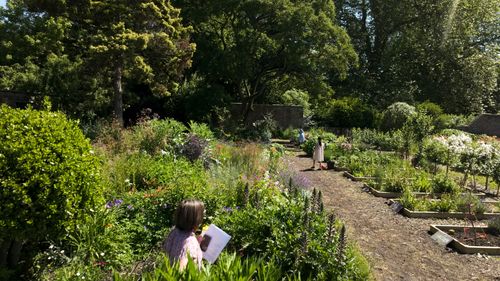 Hanford Friendship, Sport and Grounds Compilation