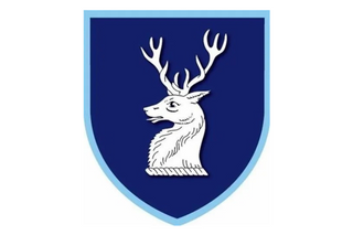 Exhibitor profile image for Papplewick School