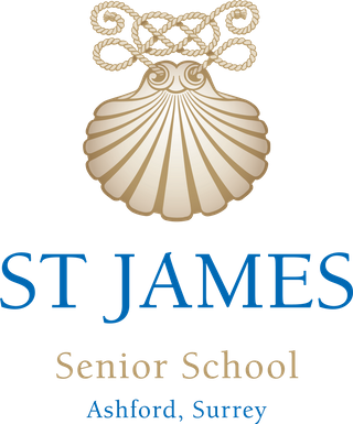 Exhibitor profile image for St James Senior Boys' School