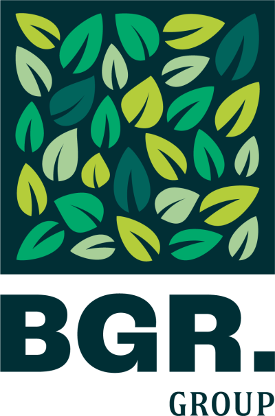 BGR Group