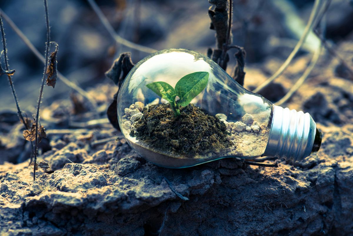 Sustainability matters: Team effort to go green