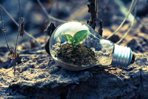 Sustainability matters: Team effort to go green