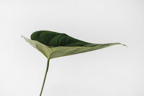 Hot Take: Sustainability still matters