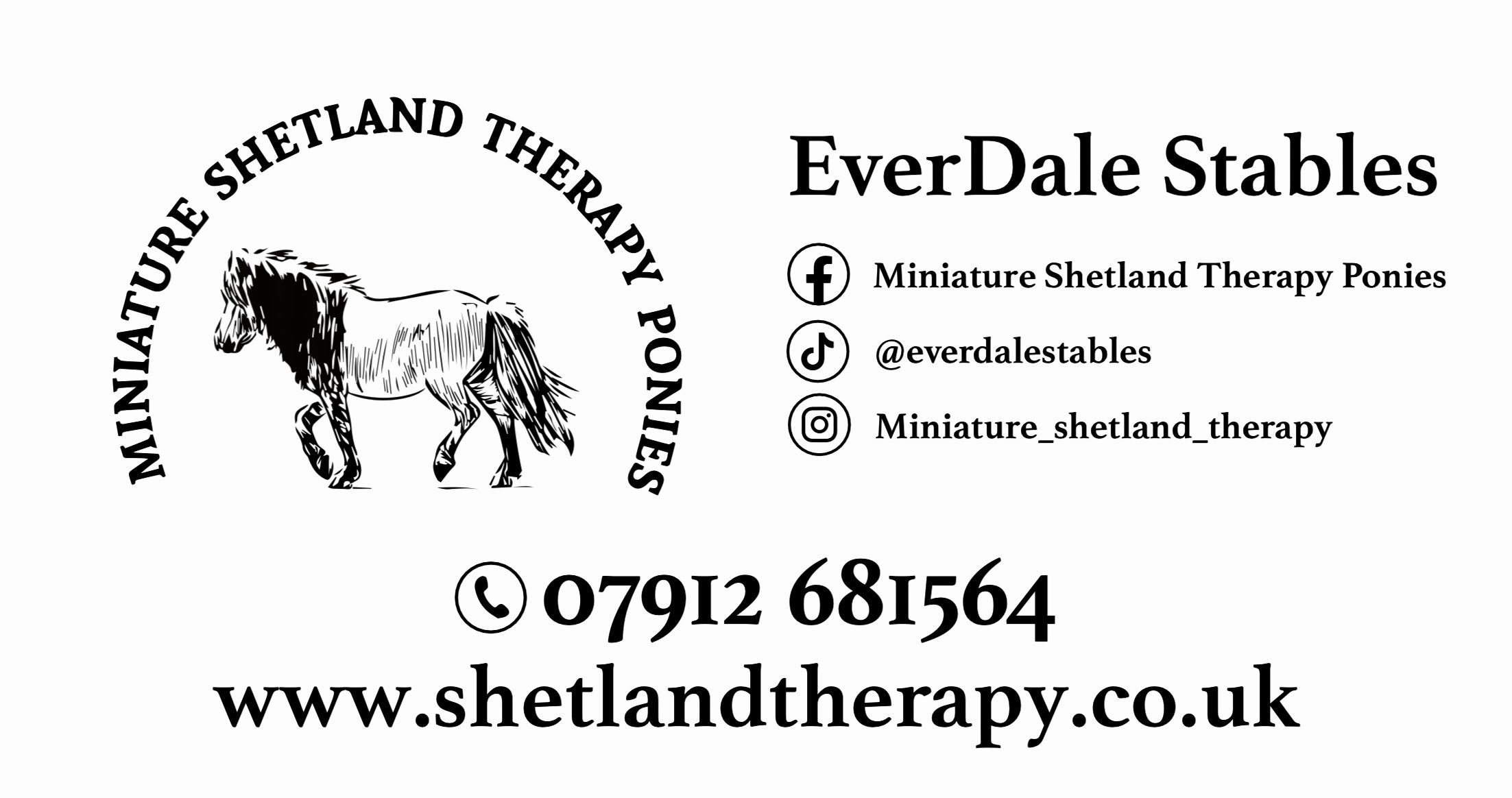 Miniature Shetland Therapy Ponies