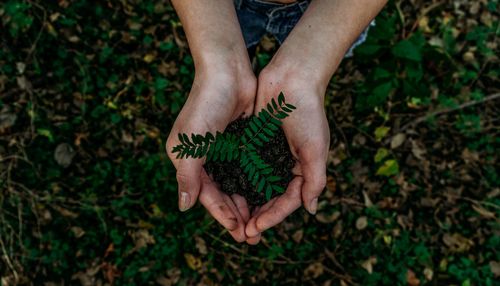 Guest blog: Understanding and achieving ESG within social care