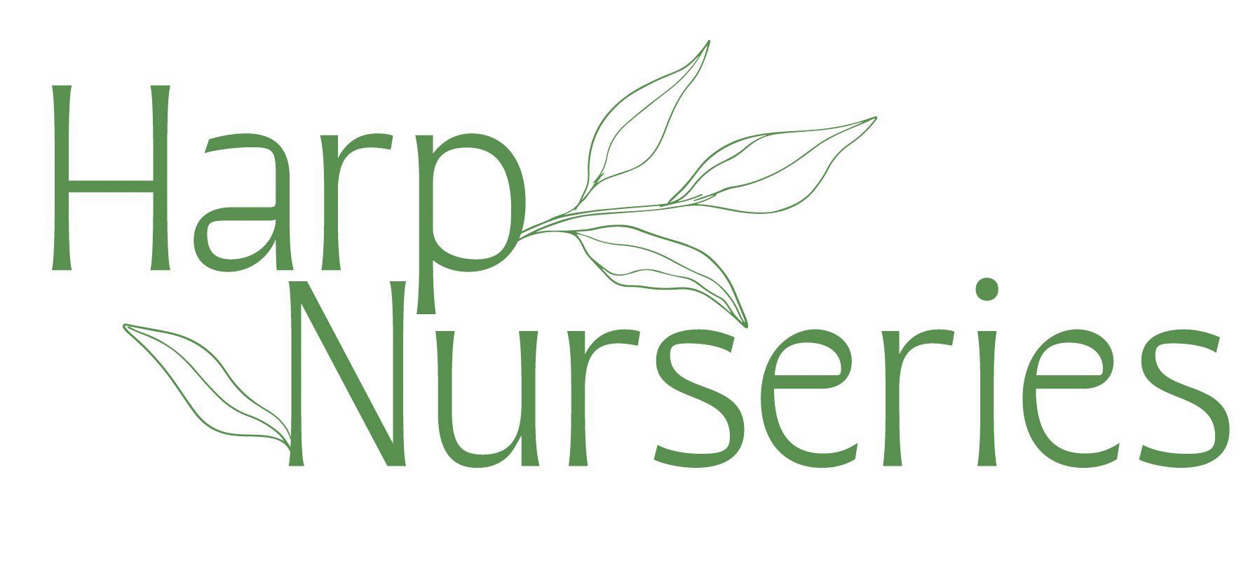 Harp Nurseries