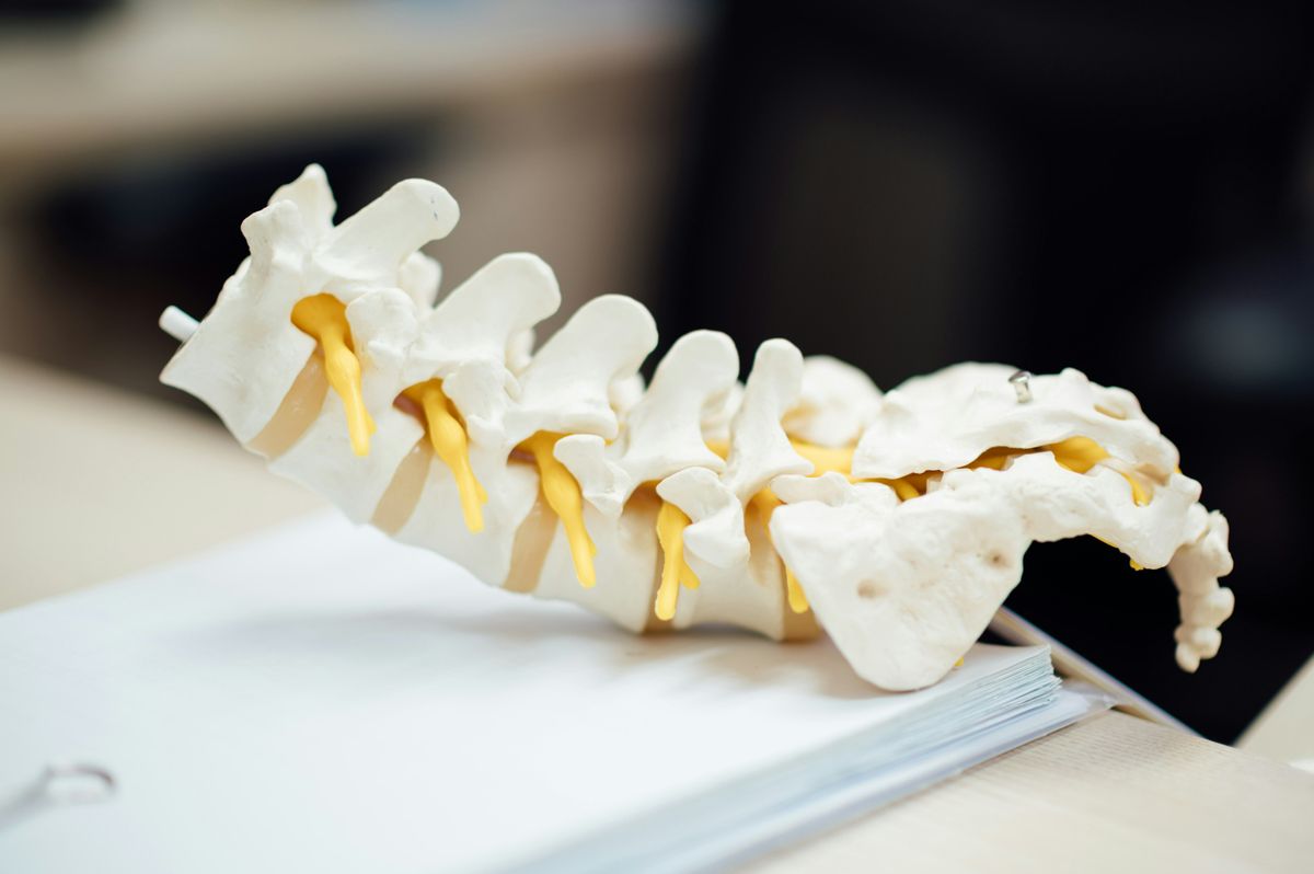 Physical wellbeing, sickness absence, retention and recruitment