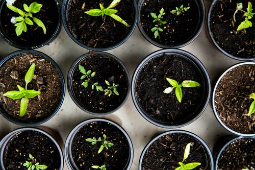 Recruitment and retention in the early years sector