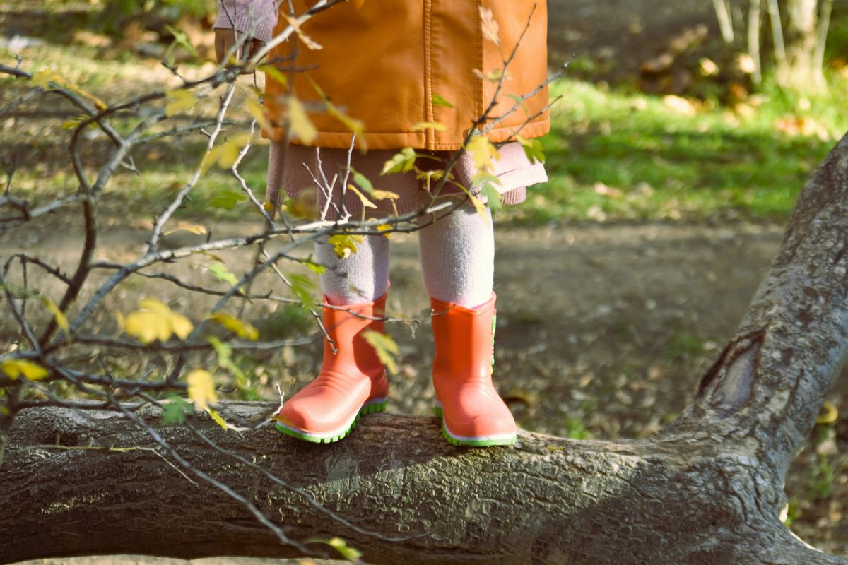 Creating a Cornish Curriculum