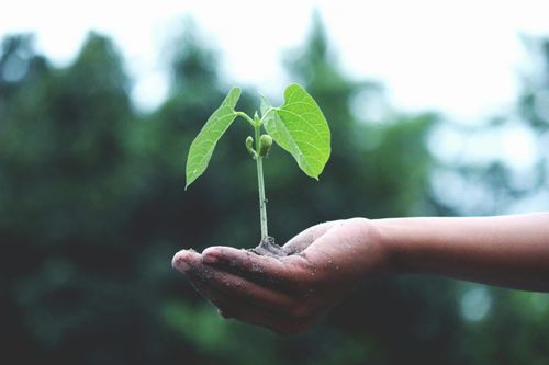 Earth Day: The importance of sustainability in early years education