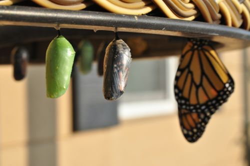 Building a thriving early years business: Strategies for sustainable growth