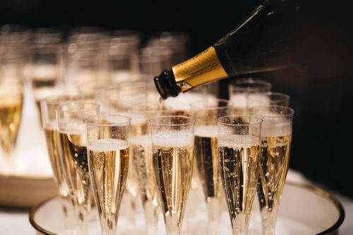 Winners announced at the National NMT Nursery Awards