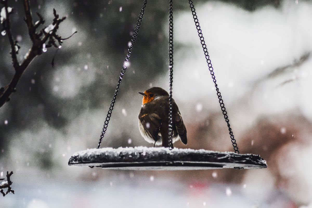 Beyond the classroom: Creating a nature-based learning environment for nursery children in the winter