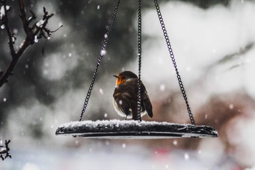 Beyond the classroom: Creating a nature-based learning environment for nursery children in the winter