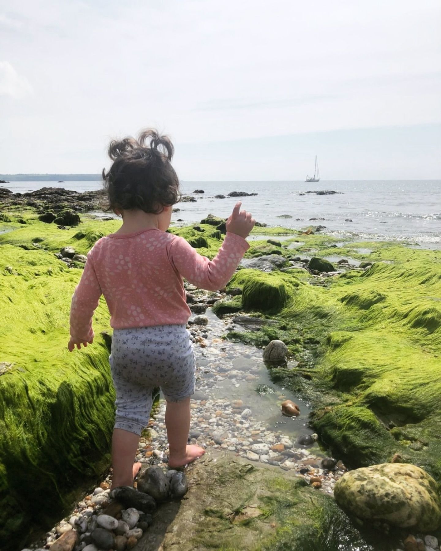 Naturally Learning