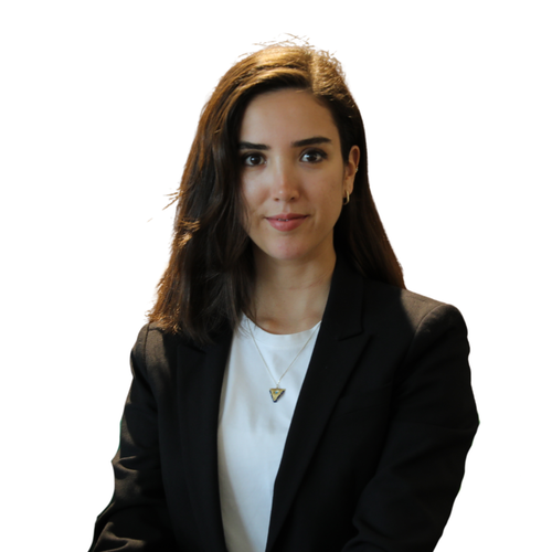 Speaker profile image for Beste Özdeşlik