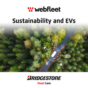 Sustainability and Electric Vehicles