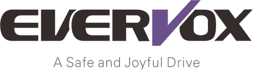 Everise industries