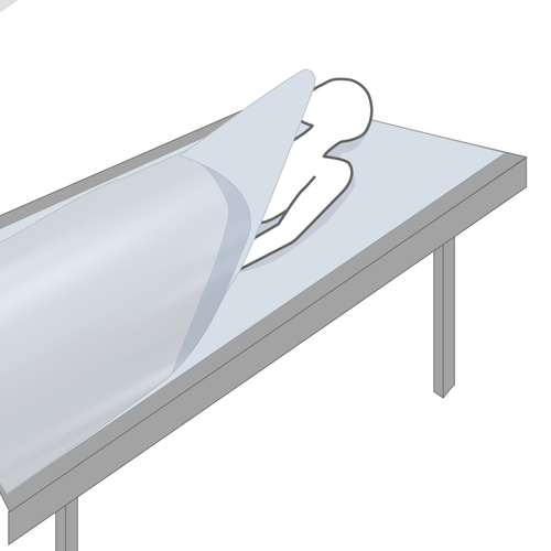 CadSeal Repatriation Foil