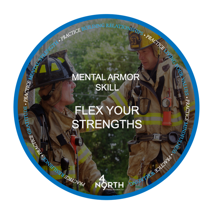 49N™ Mental Armor™ Online Certification Course (MAOCC)