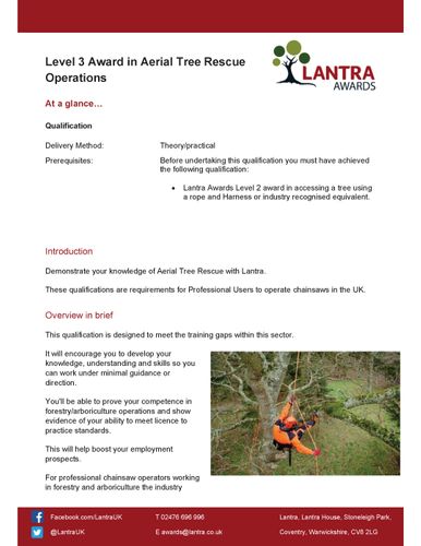 Tree Climbing & Aerial Rescue - Training