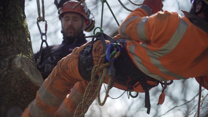 Tree Climbing & Aerial Rescue - Training