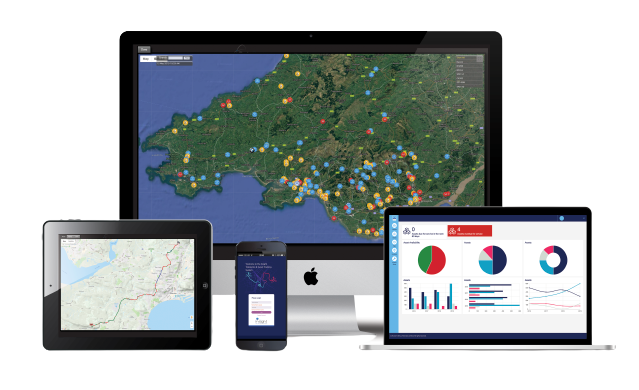 Insight Asset Monitoring