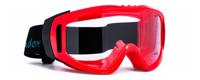 GONDOR Goggles