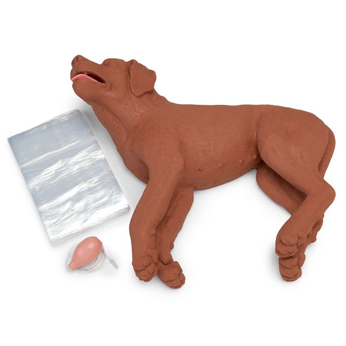 Simulaids® CasPeR CPR Dog Manikin | Pet First Aid Canine CPR