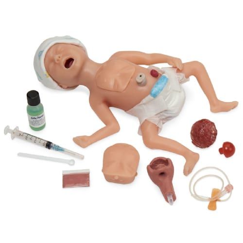 Life/form® Micro Preemie Intubation Simulator
