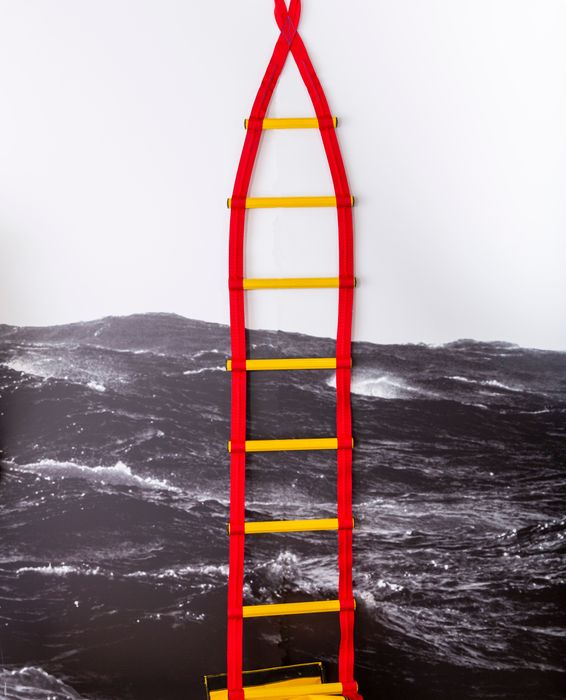 Instinct Ladder