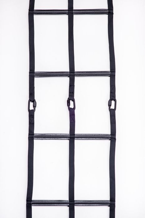 Tactical ladder