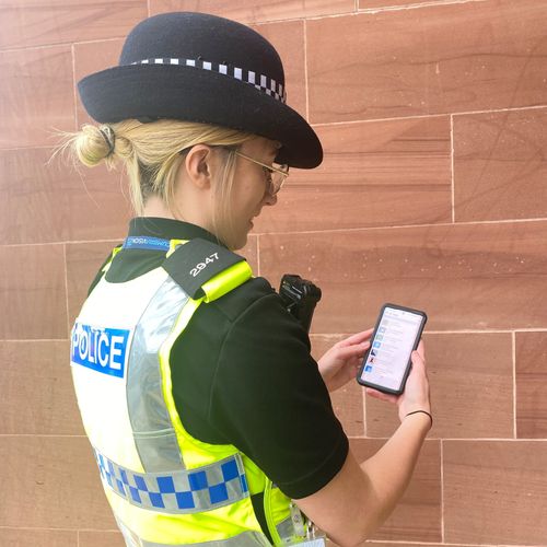 Burglary Investigation Power App